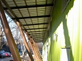 mmcanopy1